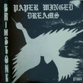 Paper winged dreams