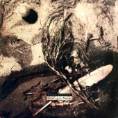 Secrets of the beehive