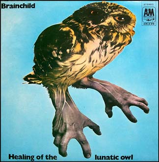 Healing of the lunatic owl