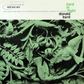 Byrd In Flight