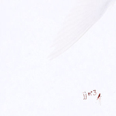 Jj n° 3 [Sealed Copy]