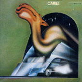 Camel
