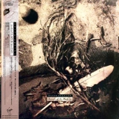 Secrets of the beehive