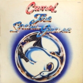 The Snow Goose