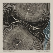 LP Rivers In The Wasteland NEEDTOBREATHE CONDITION : NEW 국가 : EU 레이블 : Atlantic 년도 : 2014 커버