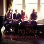 Nothing Can Hurt Me [Coloured Vinyl] [Limited Edition] [2013 RSD Edition]
