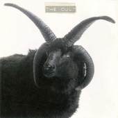 THE CULT