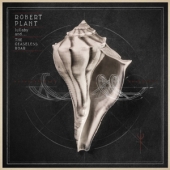 Lullaby &... The Ceaseless Roar [2LP + 1CD]