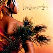 Acoustic Soul