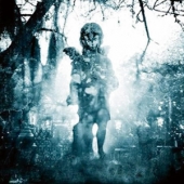 Through The Ashes Of Empires