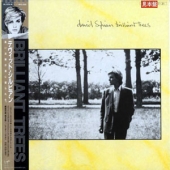 Brilliant Trees [White Label Promo-Copy]