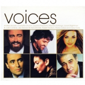Voices (보이시스)
