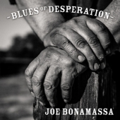 LP Blues Of Desperation JOE BONAMASSA CONDITION : NEW 국가 : USA 레이블 : J&R Adventures 년도 : 2016 커버