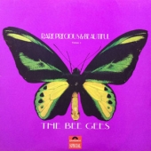 Rare Precious & Beautiful Vol.2