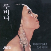 힛트전집 (한마디만 말해주 / 눈이 내리네)