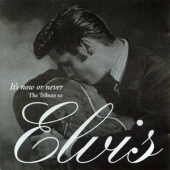 It's Now Or Never - The Tribute To Elvis
