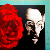 Mighty Like A Rose