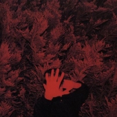 LP The Unborn Capitalist From Limbo CORY HANSON CONDITION : NEW 국가 : USA 레이블 : Drag City 년도 : 2016 커버