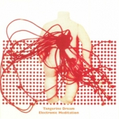 Electronic Meditation [45 rpm Edition]