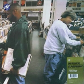 Endtroducing.....