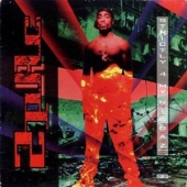 Strictly 4 My N.I.G.G.A.Z... [25th Anniversary Edition] [19세 미만 청취 불가]
