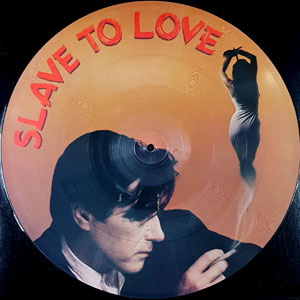 Don't Stop The Music + Slave To Love [12 Inch Single] [Picture Disk]