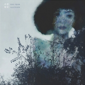 Illusion [Limited Edition]