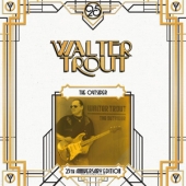 LP The Outsider [25th Anniversary Limited Edition] WALTER TROUT CONDITION : NEW 국가 : EU 레이블 : Provogue 년도 : 2014 커버