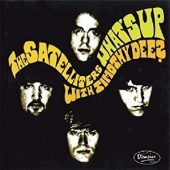 LP What's Up With Timothy Dee? SATELLITERS CONDITION : NEW 국가 : USA 레이블 : Dionysus Records 년도 : 2013 커버