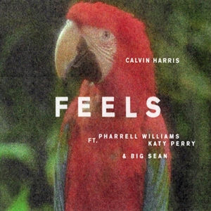 Feels [12 Inch Single] [45 rpm Edition] [Picture Disk]