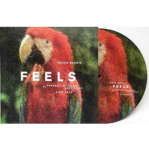 Feels [12 Inch Single] [45 rpm Edition] [Picture Disk]