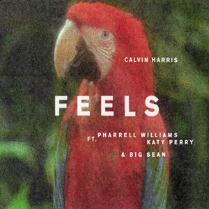 Feels [12 Inch Single] [45 rpm Edition] [Picture Disk]