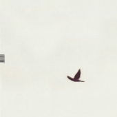 5집 - 가장 보통의 존재 [Coloured Vinyl] [2014 Seoul Record Fair Limited Edition] [Sealed Copy]