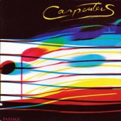 LP Passage [Remastered] [한정 수량 할인] CARPENTERS CONDITION : NEW 국가 : EU 레이블 : Universal - A&M 년도 : 2017 커버