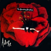 Adore [2023 Edition] [한정 수량 할인]