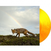 LP Buck Meek [Transparent Orange Vinyl] BUCK MEEK CONDITION : NEW 국가 : USA 레이블 : Secretly Distribution - Keeled Scales 년도 : 2020 커버