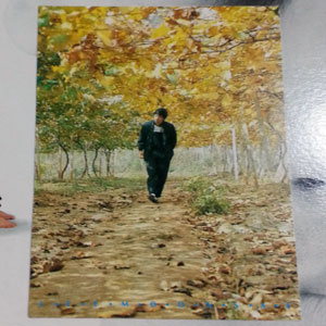 제6집 (그게 나였어 / 이세상 살아가다 보면) [With Postcard]