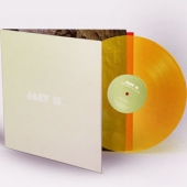 Beyond The Pale [Clear Orange Vinyl] [Indie Record Store Exclusive Limited Edition] [한정 수량 할인]