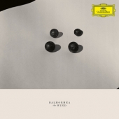 The Wind [45 rpm Edition]
