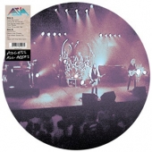 Access All Areas [Picture Disk] [Limited Edition] [한정 수량 할인]