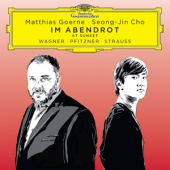 Im Abendrot : Wagner + Pfitzner + Strauss [Limited Edition]