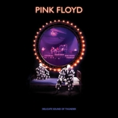 Delicate Sound Of Thunder : Live [3LP Set, Restored, Re-Edited, Remixed]