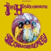 Are You Experienced? [Stereo Version] [180 Gram Audiophile Edition] [The Authorized Hendrix Family Edition]