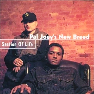 Section Rapper Section Of Life
